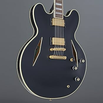 Amazon.com: Epiphone Emily Wolfe Sheraton Stealth Black Aged
